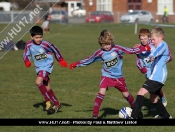 AFC Tickton Sharks continued