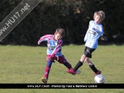 AFC Tickton Sharks continued