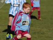 AFC Tickton Sharks continued