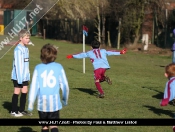 AFC Tickton Sharks continued