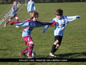 AFC Tickton Sharks continued