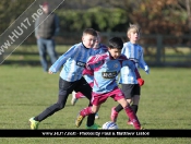 AFC Tickton Sharks continued