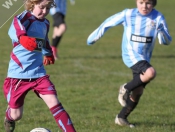 AFC Tickton Sharks continued