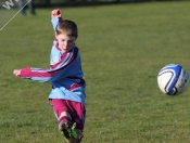 AFC Tickton Sharks continued