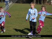 AFC Tickton Sharks continued