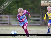 AFC Tickton Terriers Stunned By Falcons