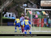 AFC Tickton Terriers Stunned By Falcons