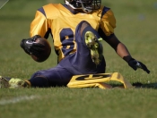 AMERICAN FOOTBALL : Eric Gui Touch Down Sends Sharks Through