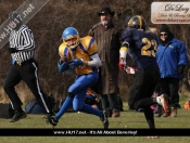 AMERICAN FOOTBALL : Hull Sharks Stung By Killer Bees