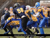 AMERICAN FOOTBALL : Hull Sharks Stung By Killer Bees