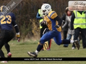 AMERICAN FOOTBALL : Hull Sharks Stung By Killer Bees