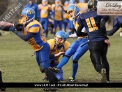 AMERICAN FOOTBALL : Hull Sharks Stung By Killer Bees