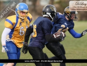 AMERICAN FOOTBALL : Hull Sharks Stung By Killer Bees