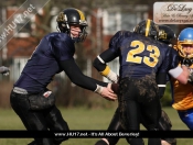 AMERICAN FOOTBALL : Hull Sharks Stung By Killer Bees