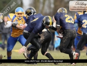 AMERICAN FOOTBALL : Hull Sharks Stung By Killer Bees