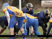 AMERICAN FOOTBALL : Hull Sharks Stung By Killer Bees