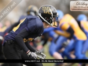 AMERICAN FOOTBALL : Hull Sharks Stung By Killer Bees