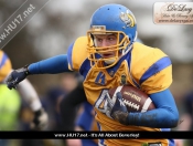 AMERICAN FOOTBALL : Hull Sharks Stung By Killer Bees