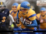 AMERICAN FOOTBALL : Hull Sharks Stung By Killer Bees