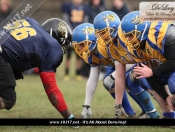 AMERICAN FOOTBALL : Hull Sharks Stung By Killer Bees