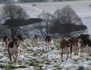 Beverley Boxing Day Hunt by Roger Spink