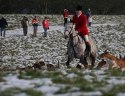 Beverley Boxing Day Hunt by Roger Spink