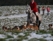 Beverley Boxing Day Hunt by Roger Spink