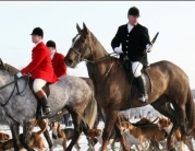 Beverley Boxing Day Hunt by Roger Spink