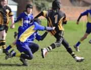 Beverley Braves Vs Cottingham Tigers U11