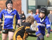 Beverley Braves Vs Cottingham Tigers U11