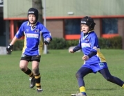 Beverley Braves Vs Cottingham Tigers U11