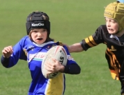 Beverley Braves Vs Cottingham Tigers U11