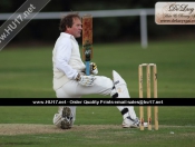 cricket-fourths-001