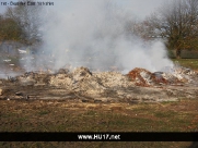 Beverley Westwood Bonfire