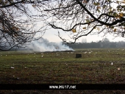 Beverley Westwood Bonfire