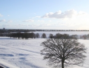 Beverley Racecourse & Views of Beverley