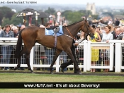 Beverley Racecourse