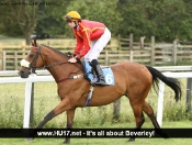 Beverley Racecourse