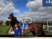 Beverley Races