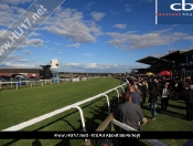 Beverley Races