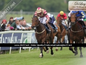 Beverley Races