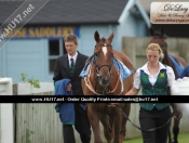 Beverley Races