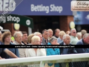 Beverley Races