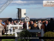 Beverley Races Penultimate Fixture Of The 2012 Season