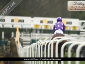 Beverley Races With A Touch Of Drizzle