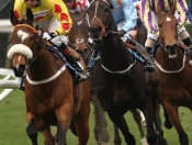 Beverley Races With A Touch Of Drizzle