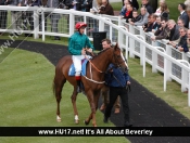 Beverley Races