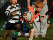 Beverley RUFC: Mini Section Tag Rugby