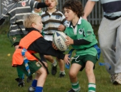 Beverley RUFC: Mini Section Tag Rugby