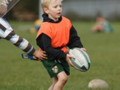 Beverley RUFC: Mini Section Tag Rugby